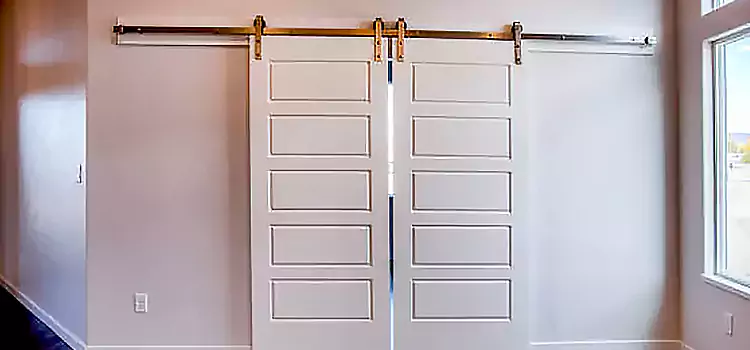 Glass Barn Door with Installation Hardware Kit Van Buren