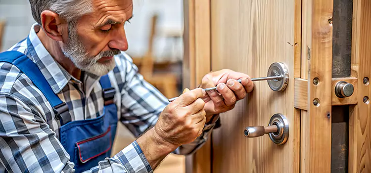 Mortise Replacement Lock Van Buren